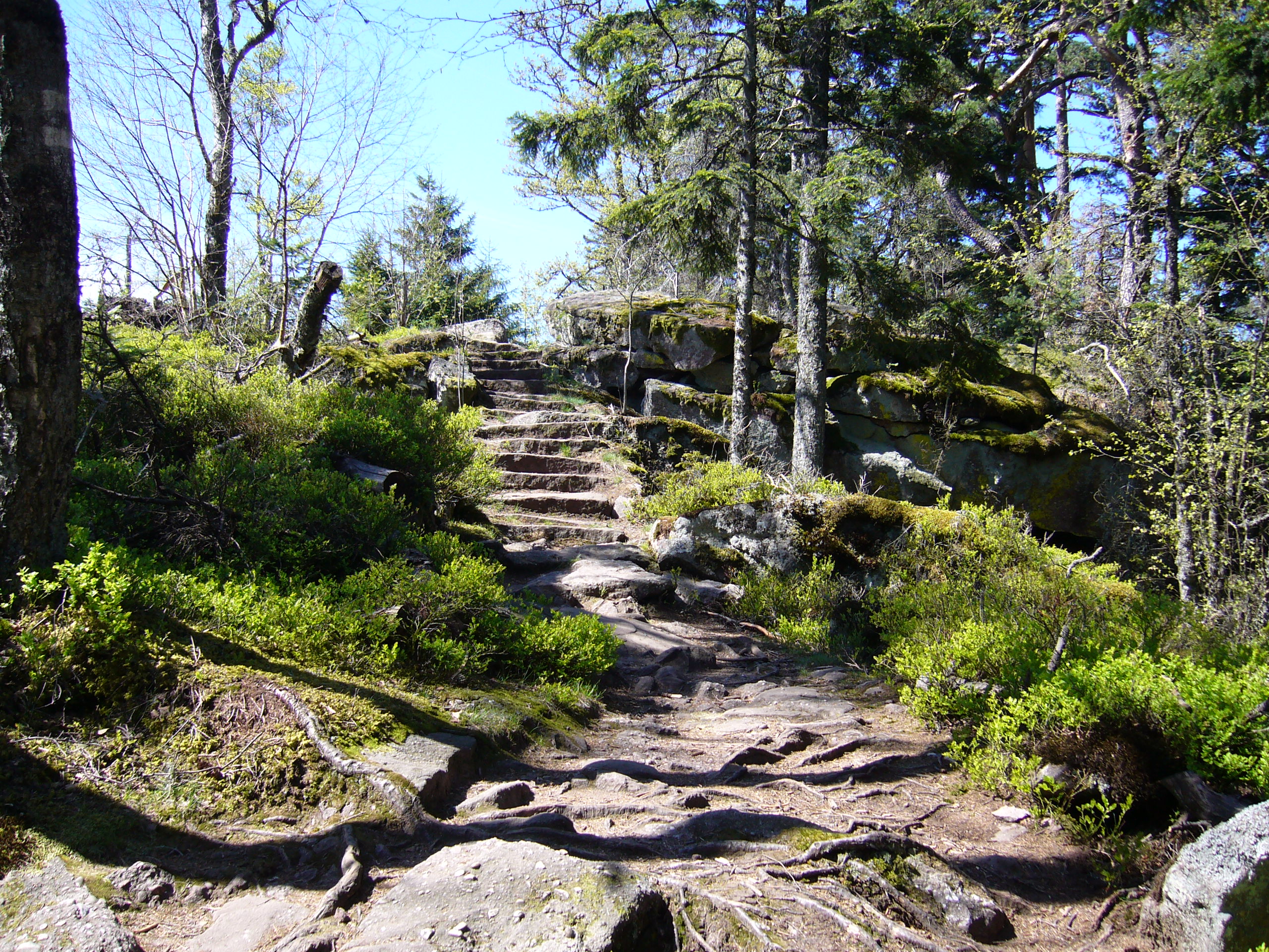 Sentier qui débouche sur le rocher des Reptiles